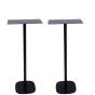 Speakerstandaard met Marshall Stanmore zwart set