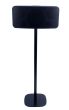 Zwarte speakerstandaard met Bluesound Pulse 2